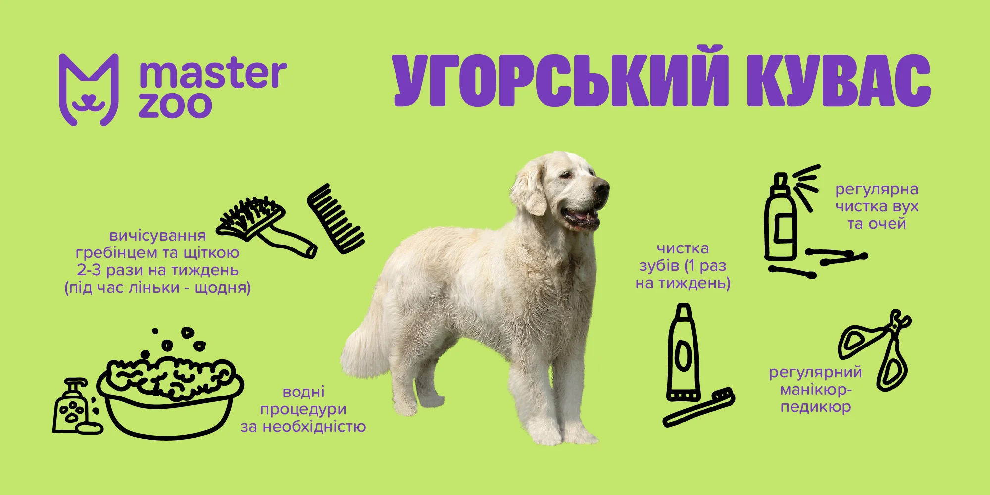 Кувас | MasterZoo