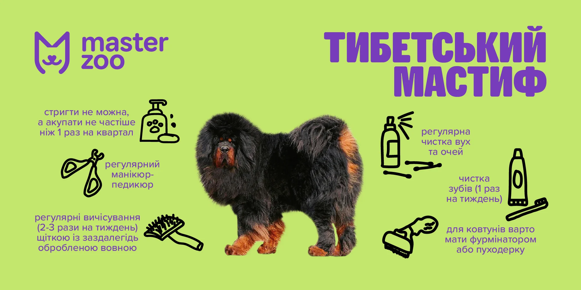 Тибетський мастиф | MasterZoo