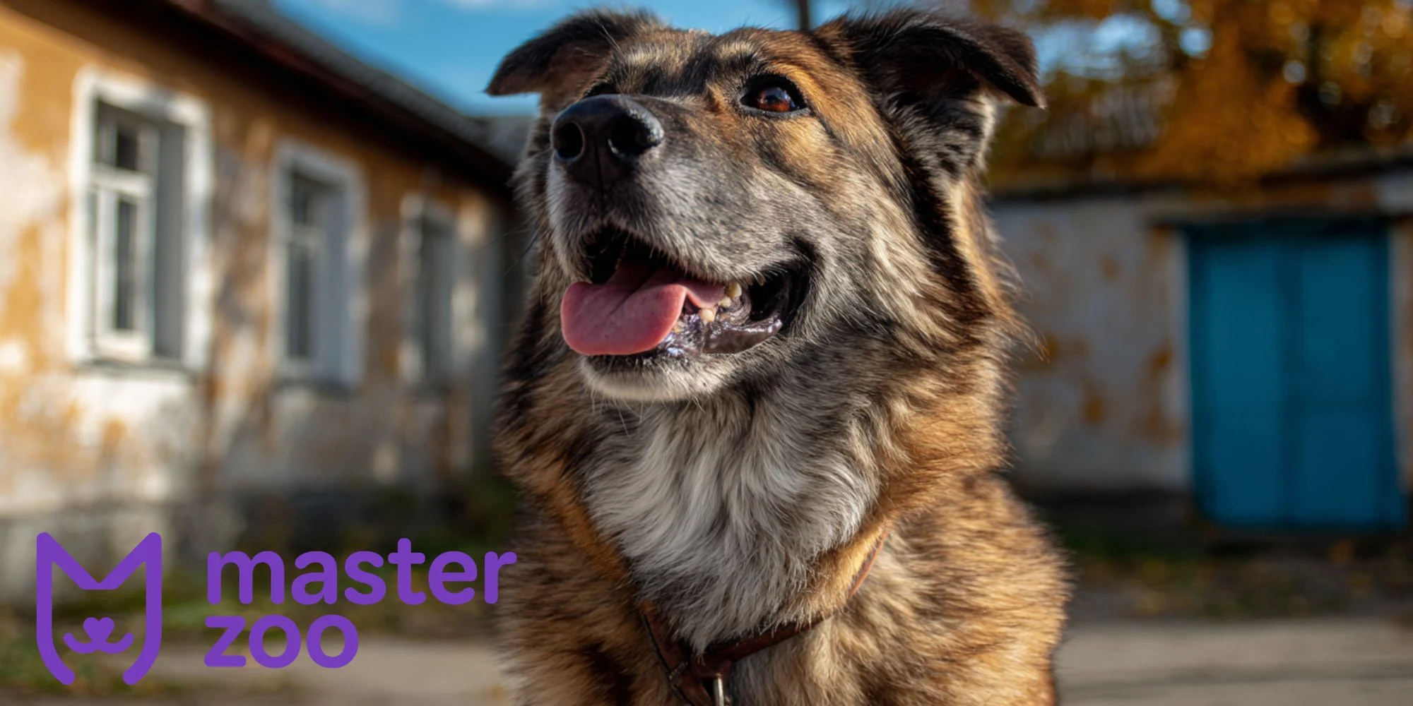 Капли от глистов у собаки | MasterZoo