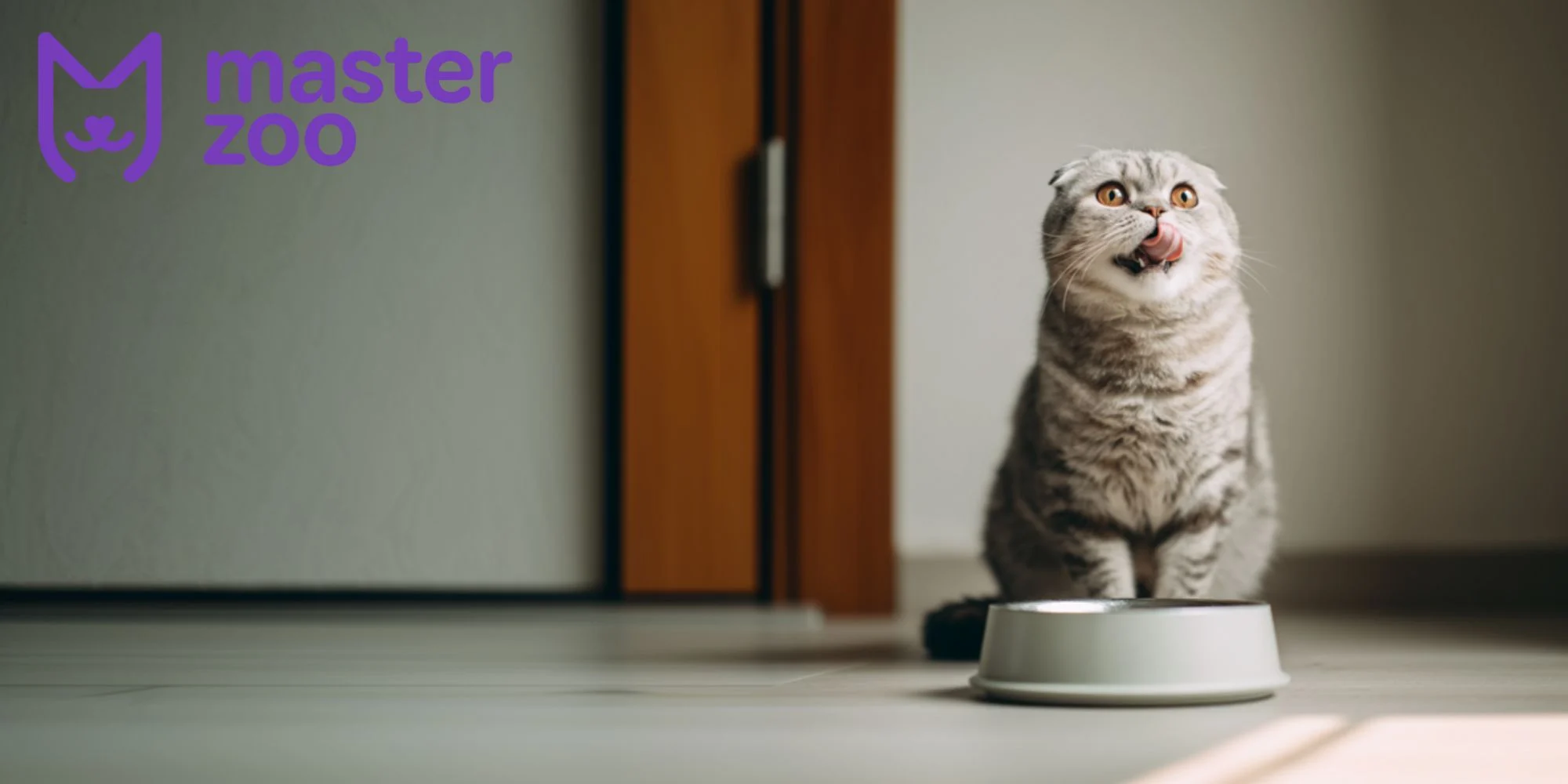 сухий корм для котов | MasterZoo