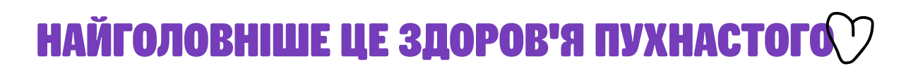 роздільник |MasterZoo