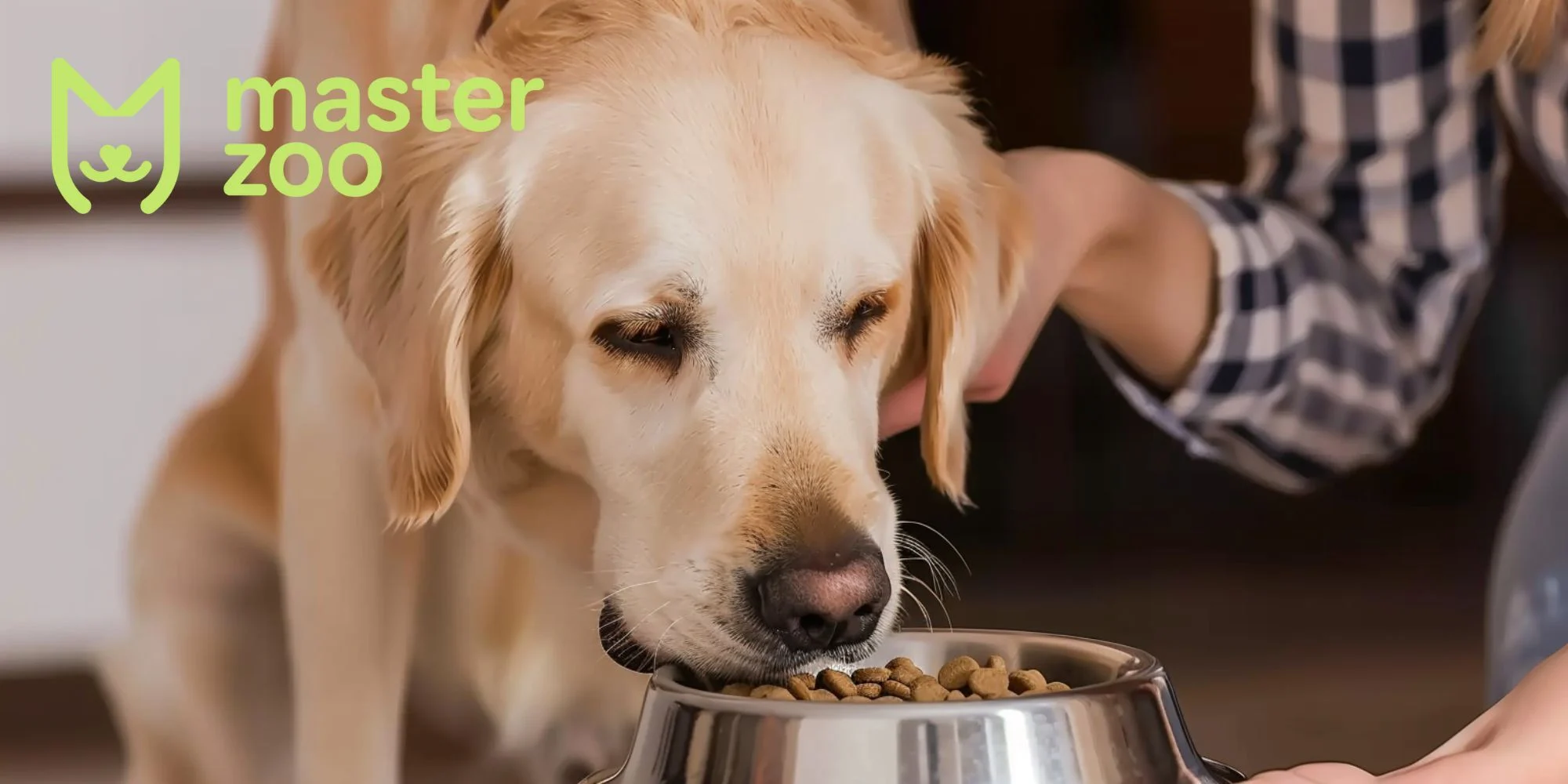 як правильно підібрати корм для собаки | MasterZoo