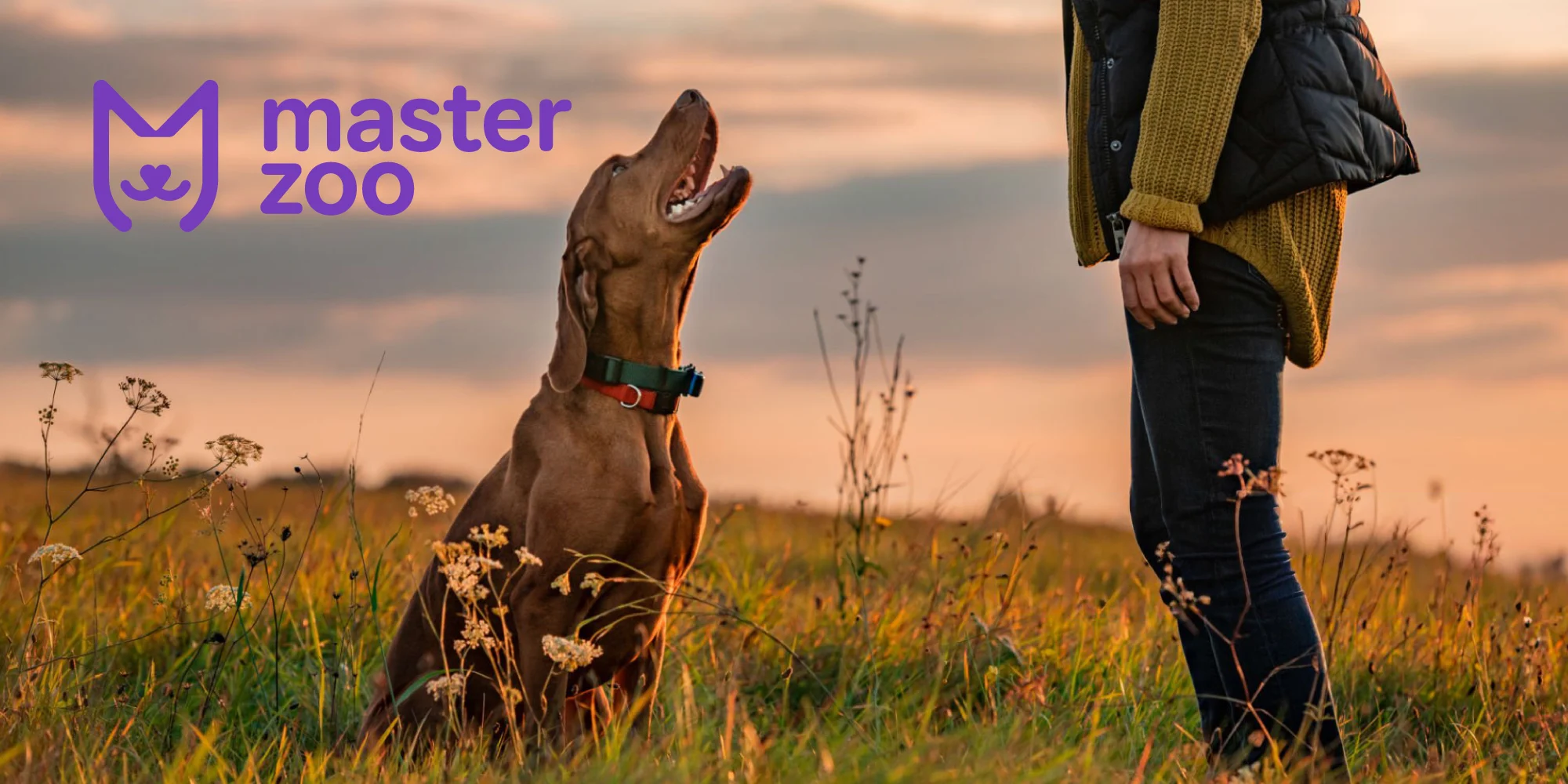 поводок для собак | MasterZoo