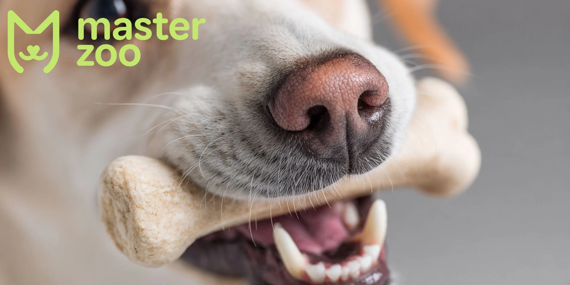 кості для цуцика | MasterZoo