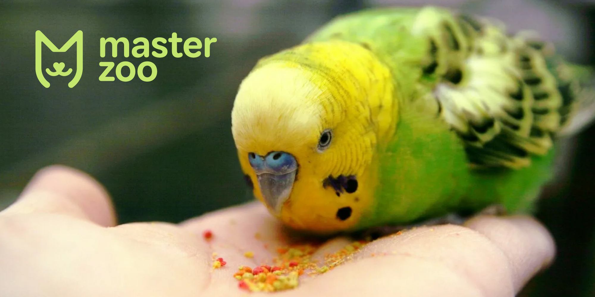 Какие витамины лучше для папугая |  MasterZoo