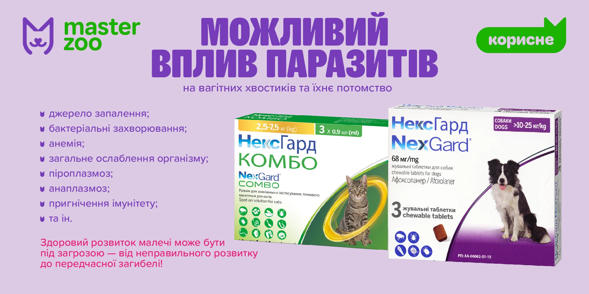 как паразиты могут влиять на беременных любимцев  |  MasterZoo