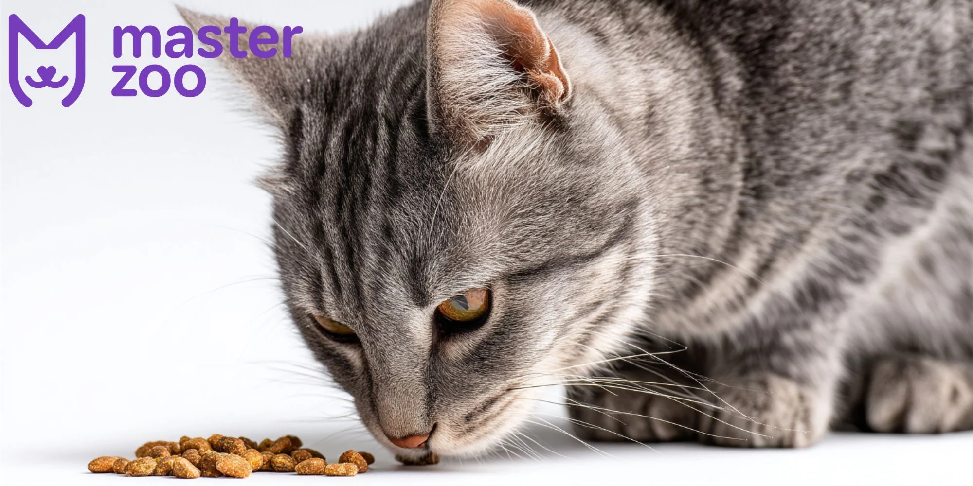 корм для кота |MasterZoo