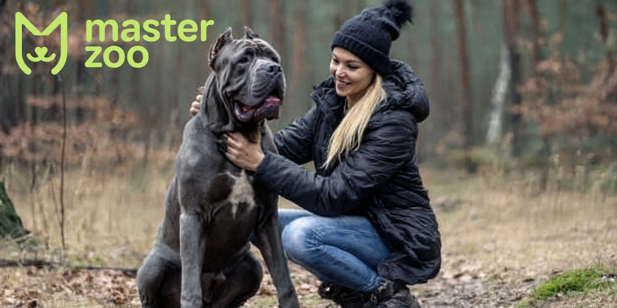 характер кане корсо | MasterZoo