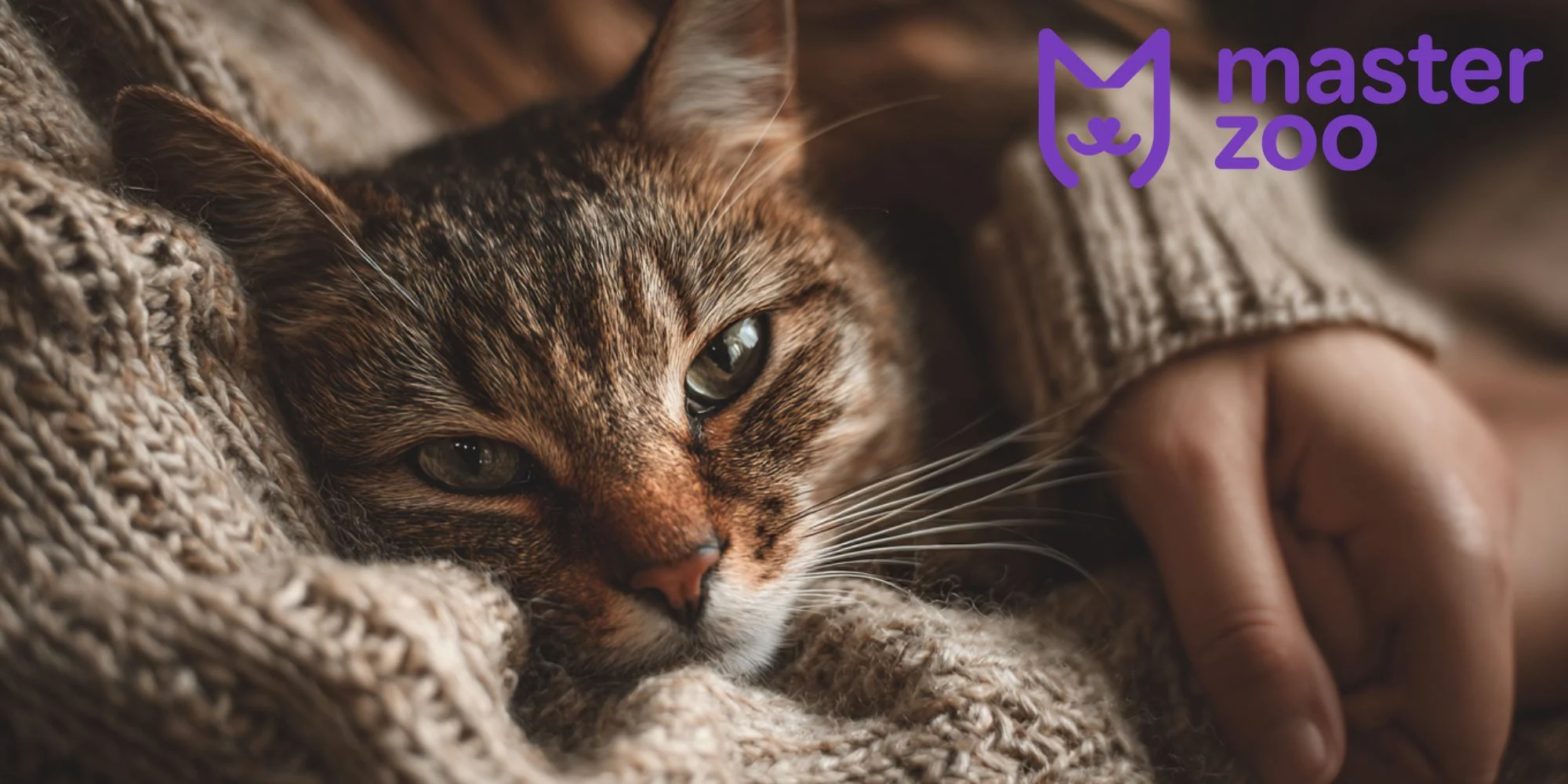 вакцинація кота від лейкозу | MasterZoo