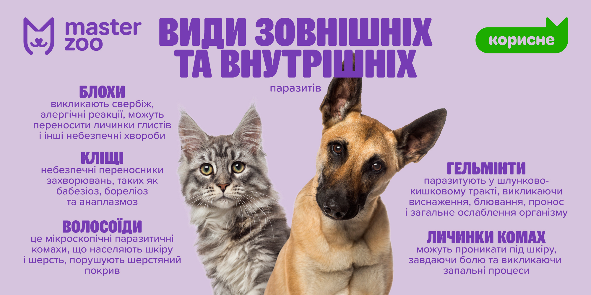 инфографика какие препары нужны любимцу |  MasterZoo