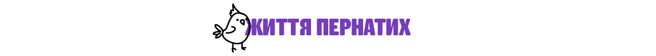 роздільник папуга | Зоомагазин MasterZoo