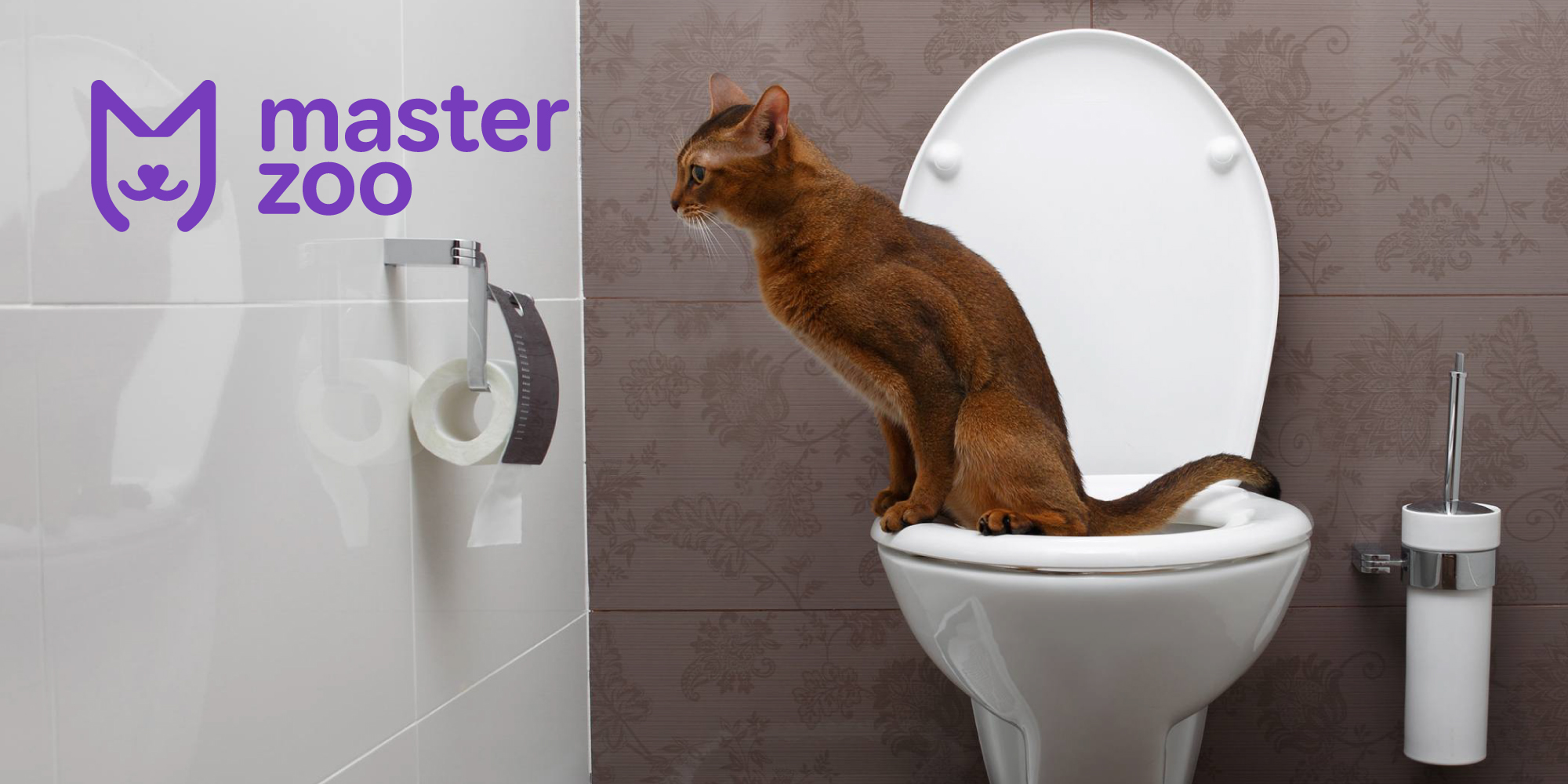 как отучить кота справлять нужду , где попало| MasterZoo