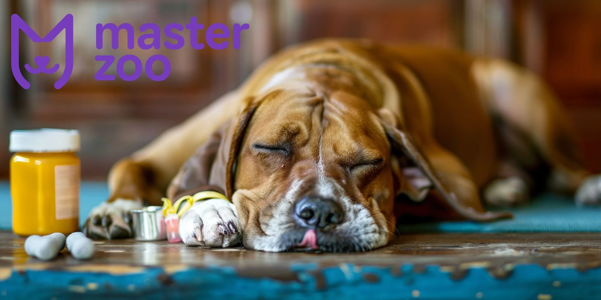 панкреатит у собак | MasterZoo