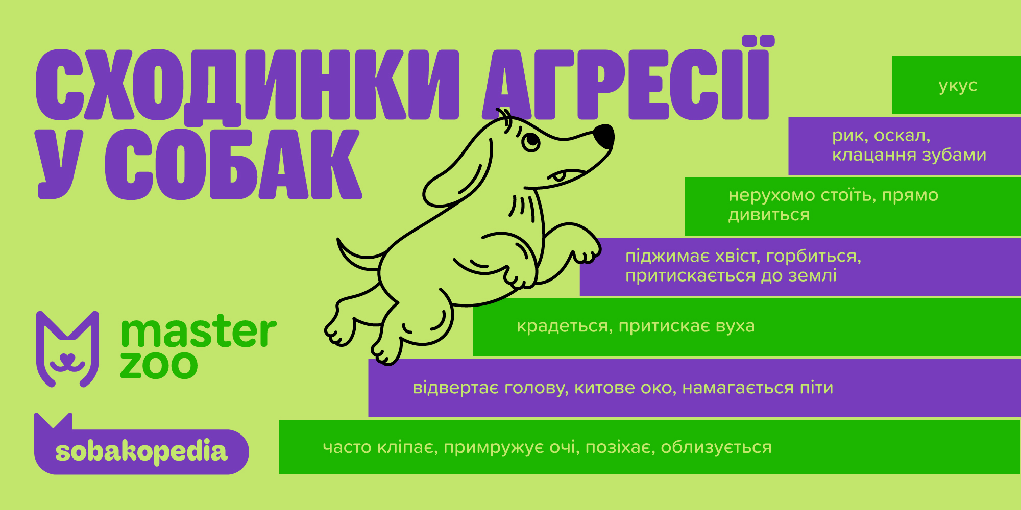 Сходинки агресії у собак| Зоомагазин MasterZoo