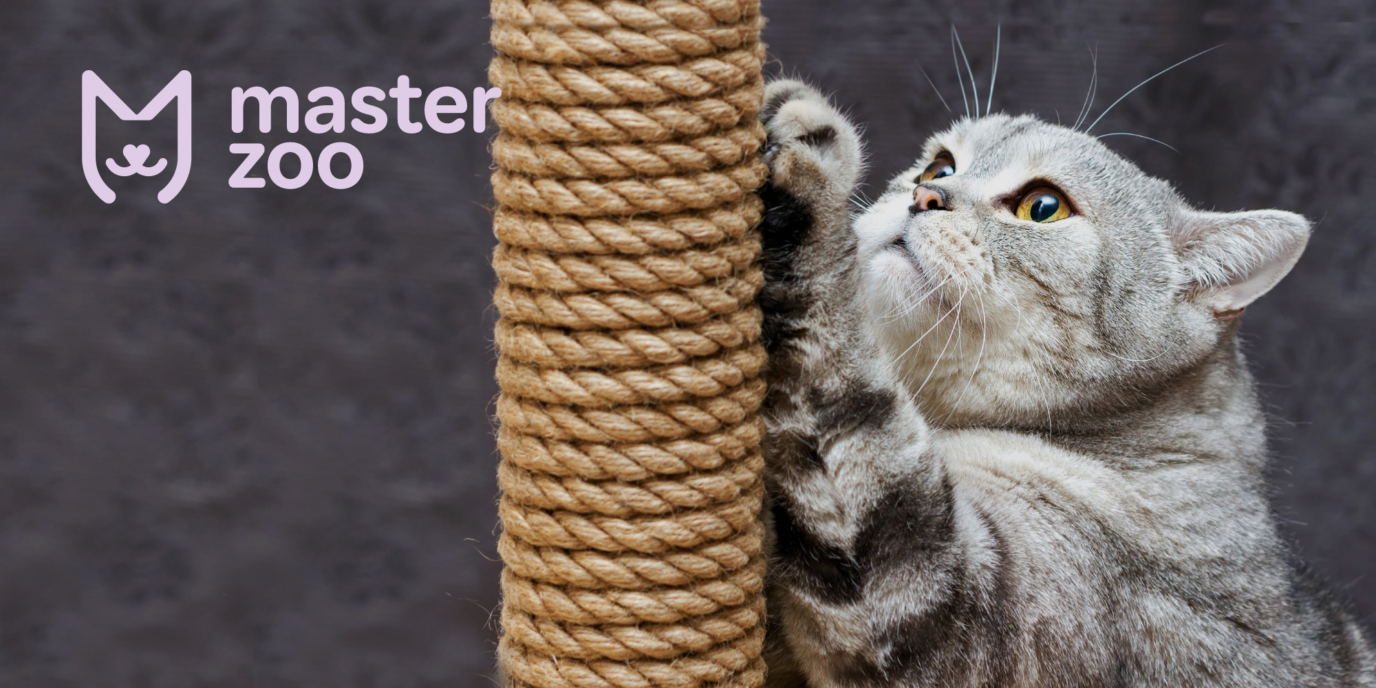 Когтеточка для кошки | MasterZoo