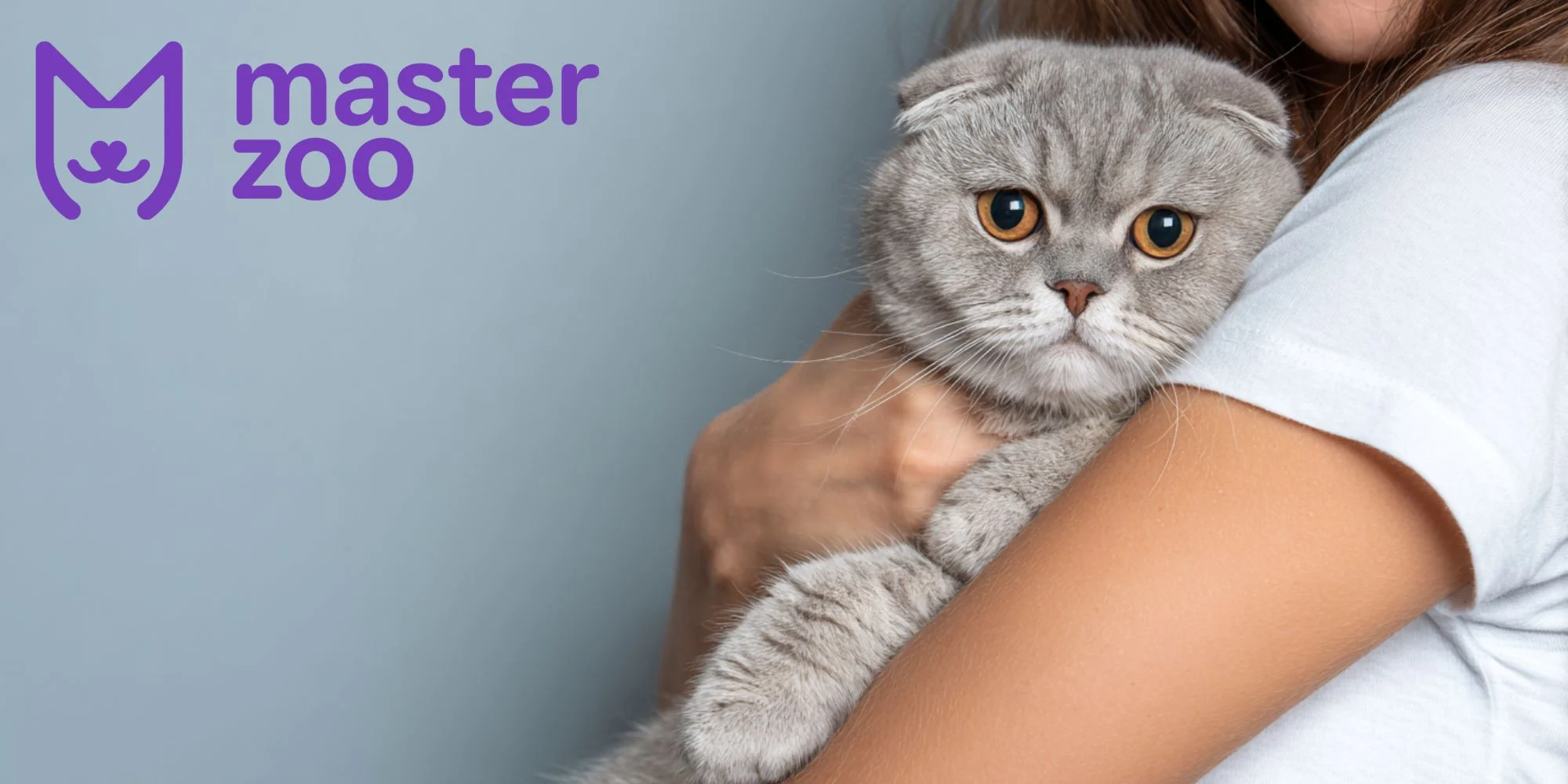 хроничные болезни почек у кошек | MasterZoo
