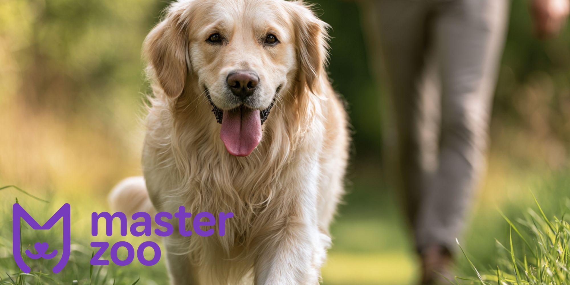 профілактика закреп у собак | MasterZoo