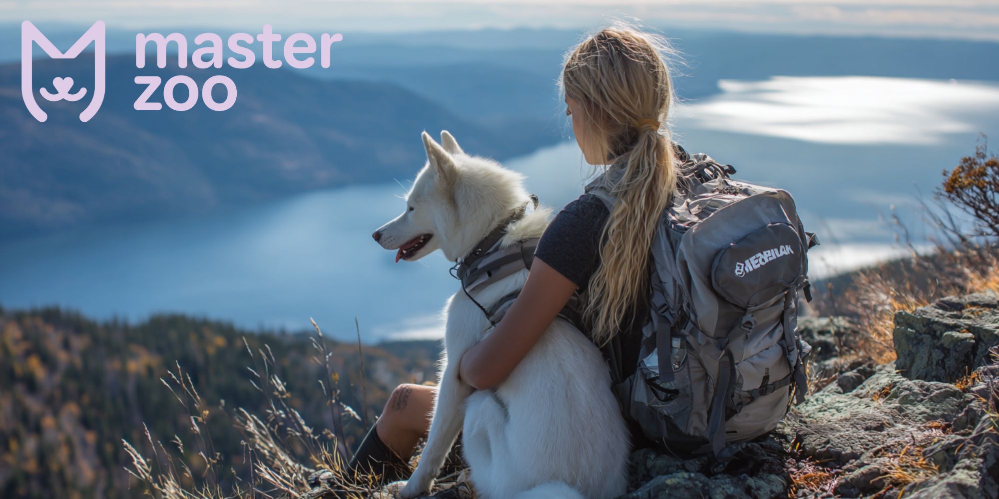 харчування в походы для пухнастого | MasterZoo