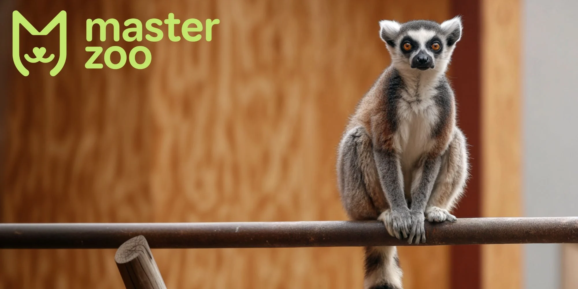 якы мавпи пыдходять для дому| MasterZoo