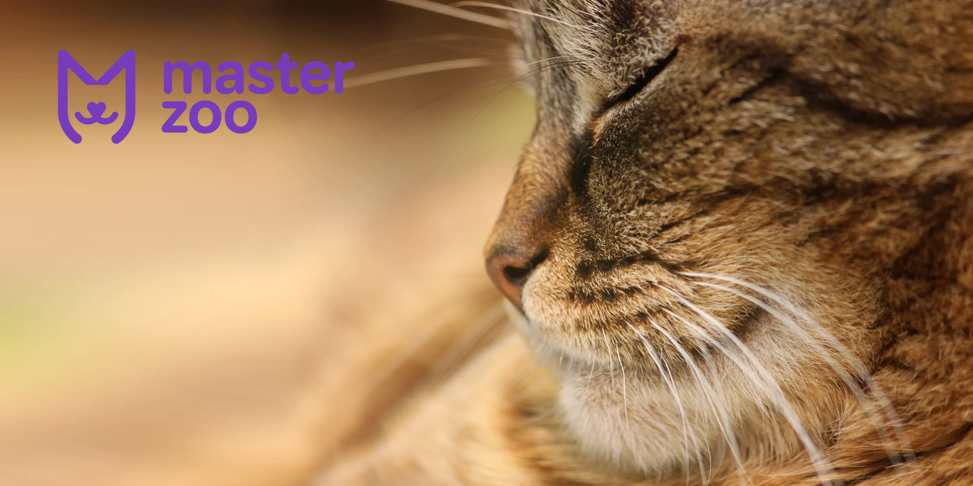 Лікування котів | MasterZoo
