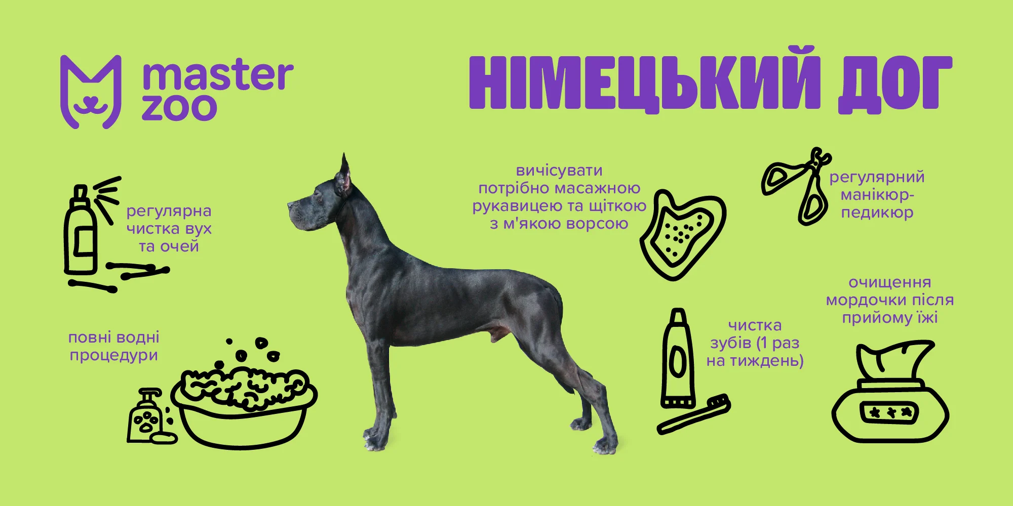 Німецький дог | MasterZoo