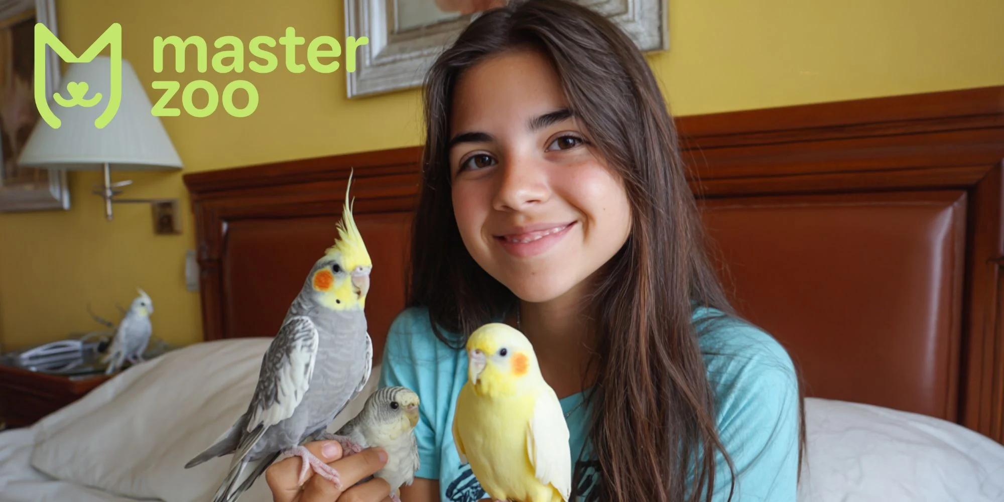 воспитание кореллы | MasterZoo