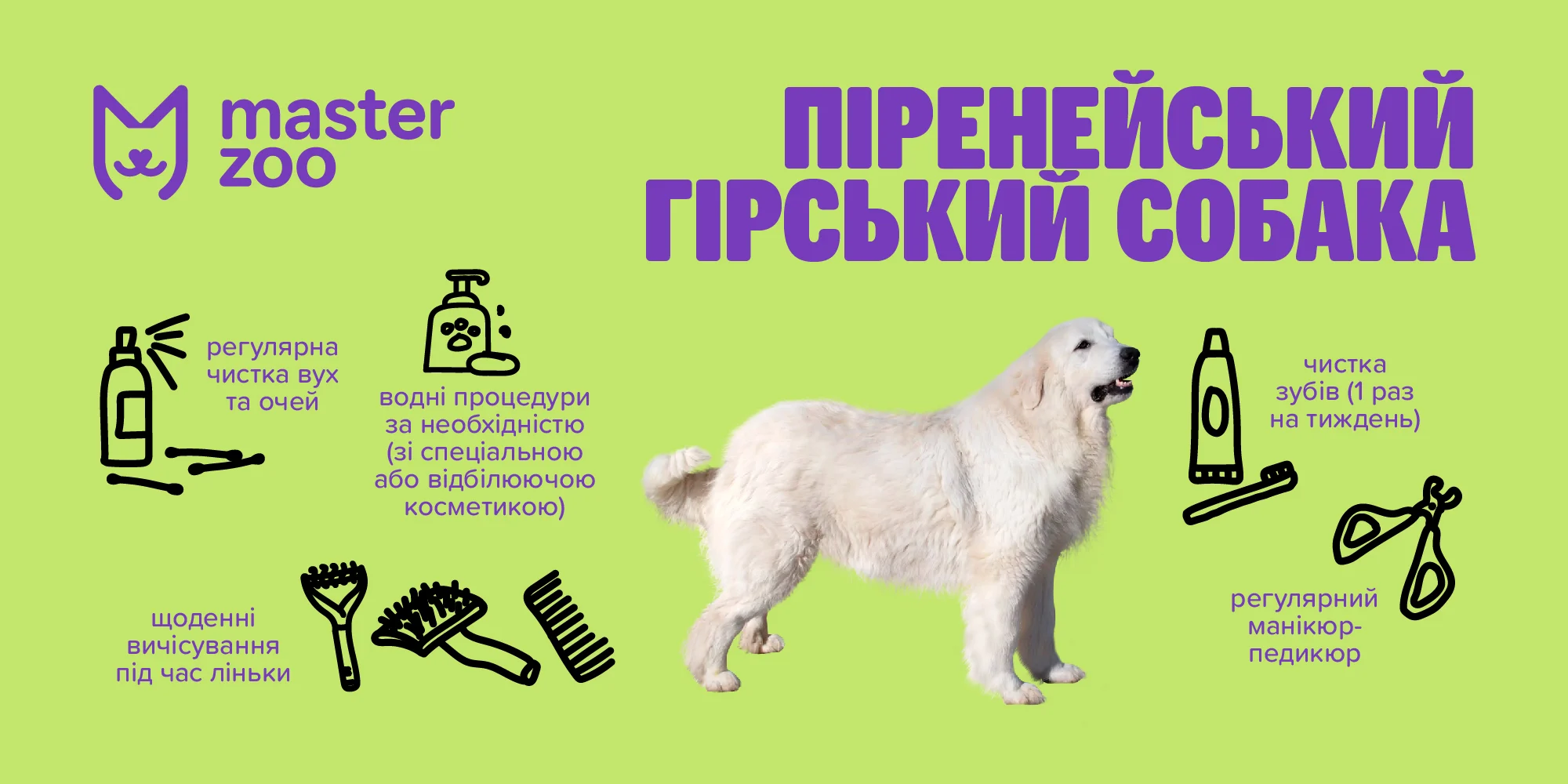 Піренейська гірська собака | MasterZoo