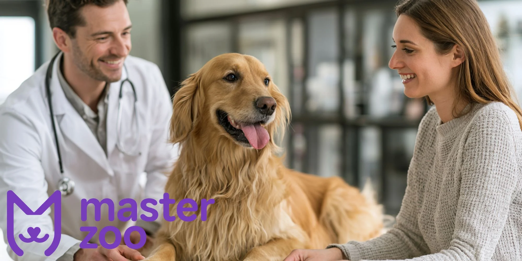 чим годувати собаку після рвоти | MasterZoo