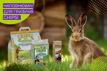 Наповнювач для гризунів Chipsi