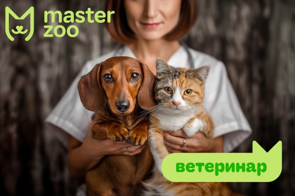 Вакцинация домашних любимцев