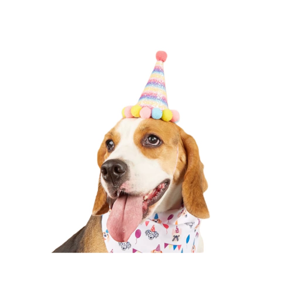 Святковий ковпак для собак Pet Fun 11х9 см - модель в асортименті Святковий ковпак для собак Pet Fun 11х9 см - модель в асортименті
