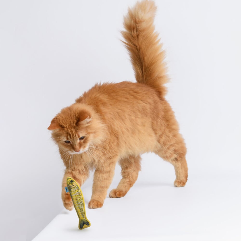Игрушка для кошек Barksi Рыбки Шпроты 3 шт 16,5 см - разноцветный