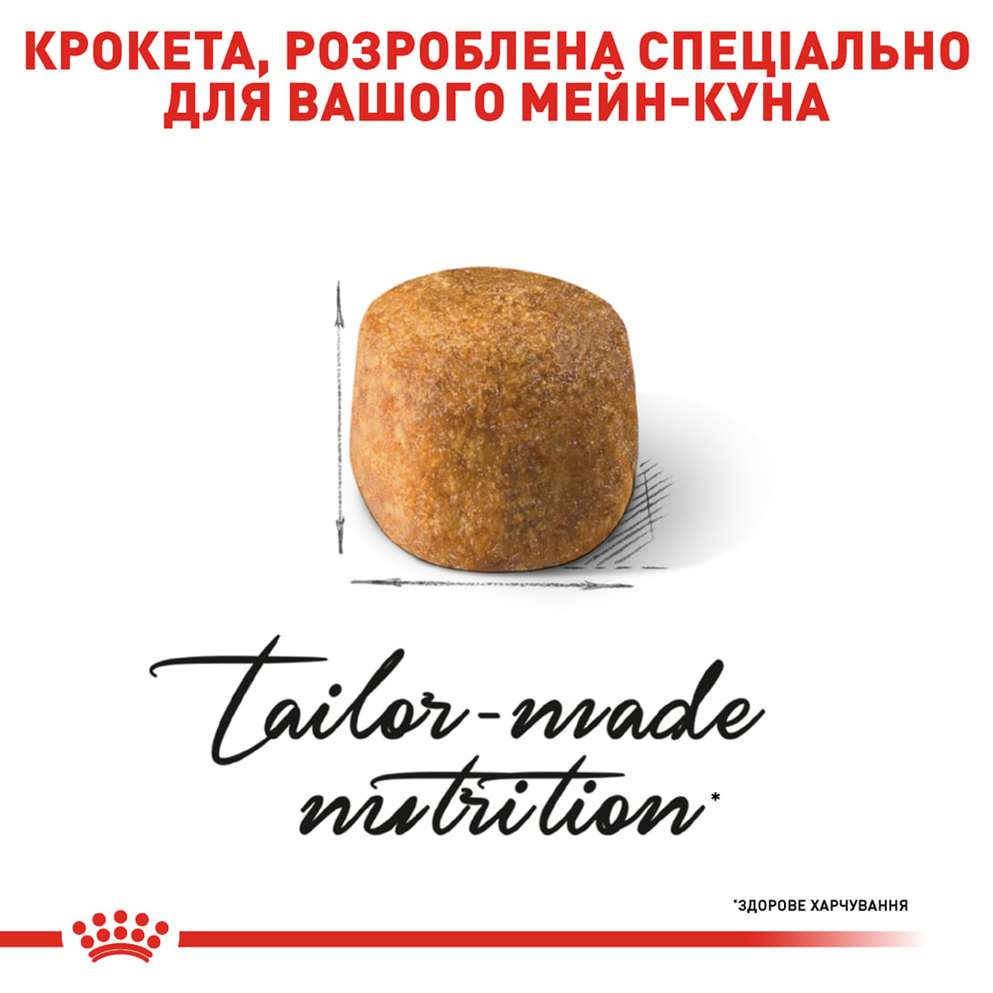 Сухий корм для котів Royal Canin Maine Coon Adult 4 кг + Іграшка-диспенсер для ласощів