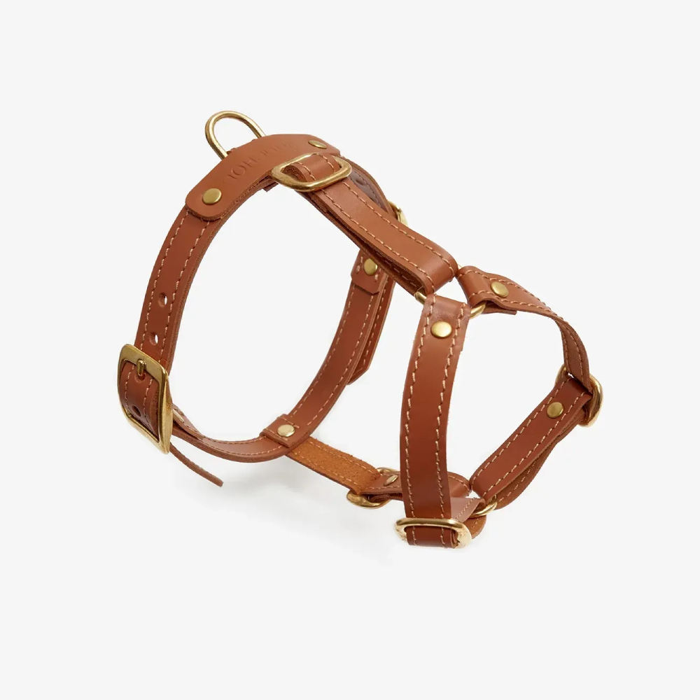 Шлея для собак CHOUCHOU Classy XS - рудий Шлея для собак CHOUCHOU Classy XS - рудий