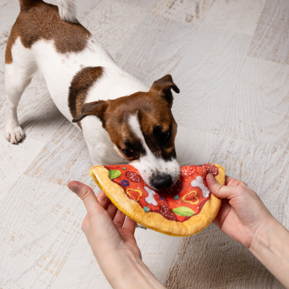 Іграшка для собак Pet Fun Піца з пискавкою 19 см - різнокольоровий