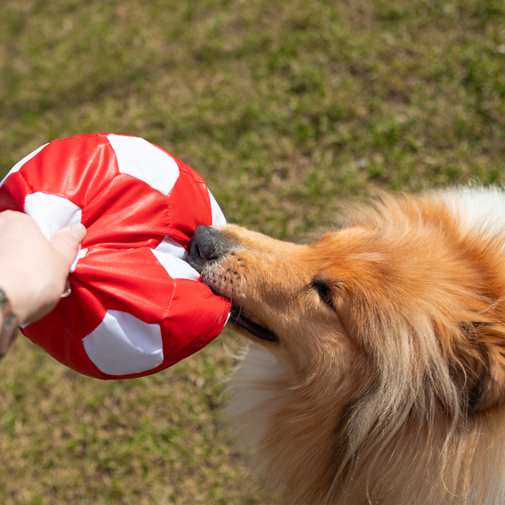 Іграшка для собак Pet Fun М'яч з пискавкою 22см - різнокольоровий