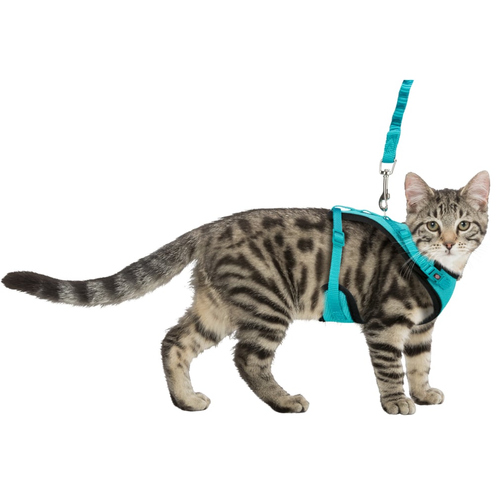 Шлея з повідцем для котів Trixie Y-harness - бірюзовий