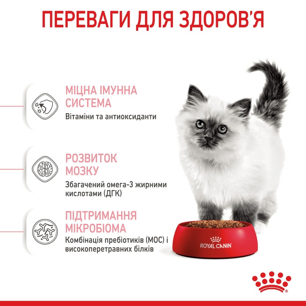 Сухий корм для кошенят Royal Canin Kitten 4 кг + Іграшка-диспенсер для ласощів
