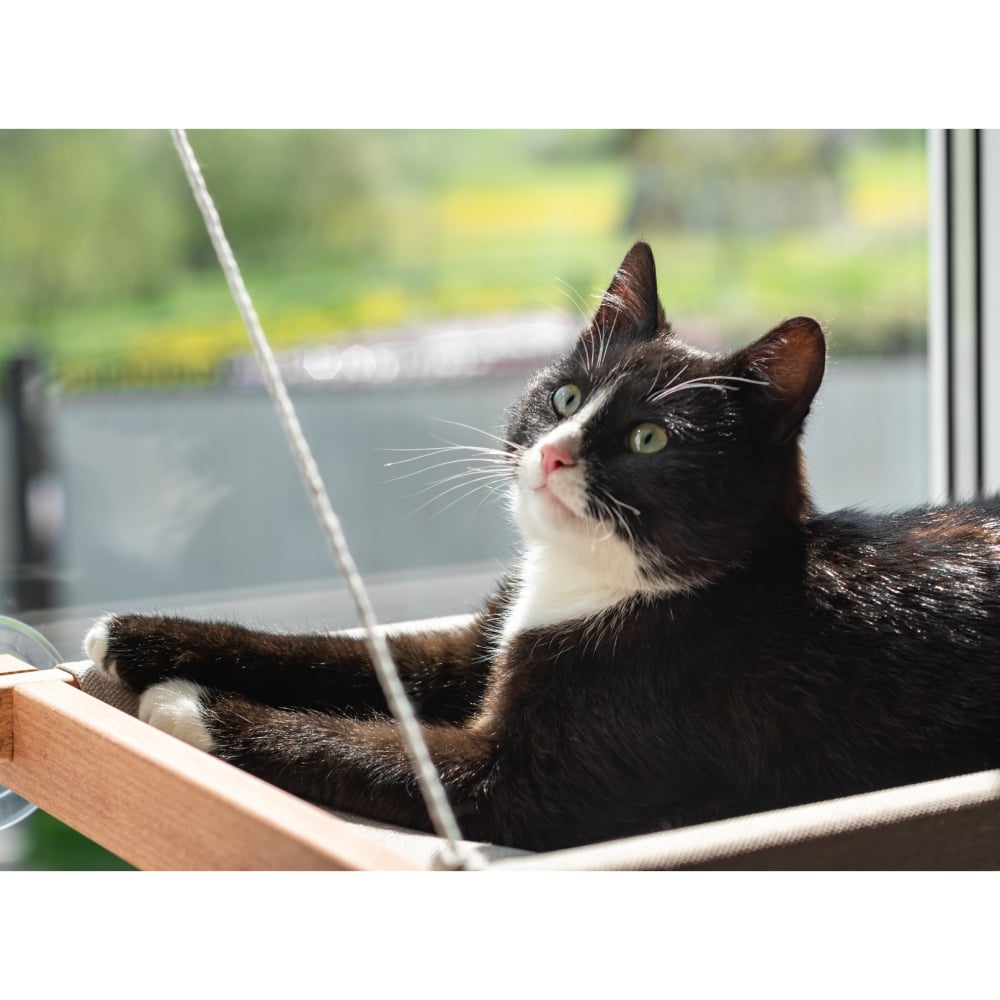Гамак на вікно для котів PetJoy 54x35x3,5 см - коричнево-бежевий