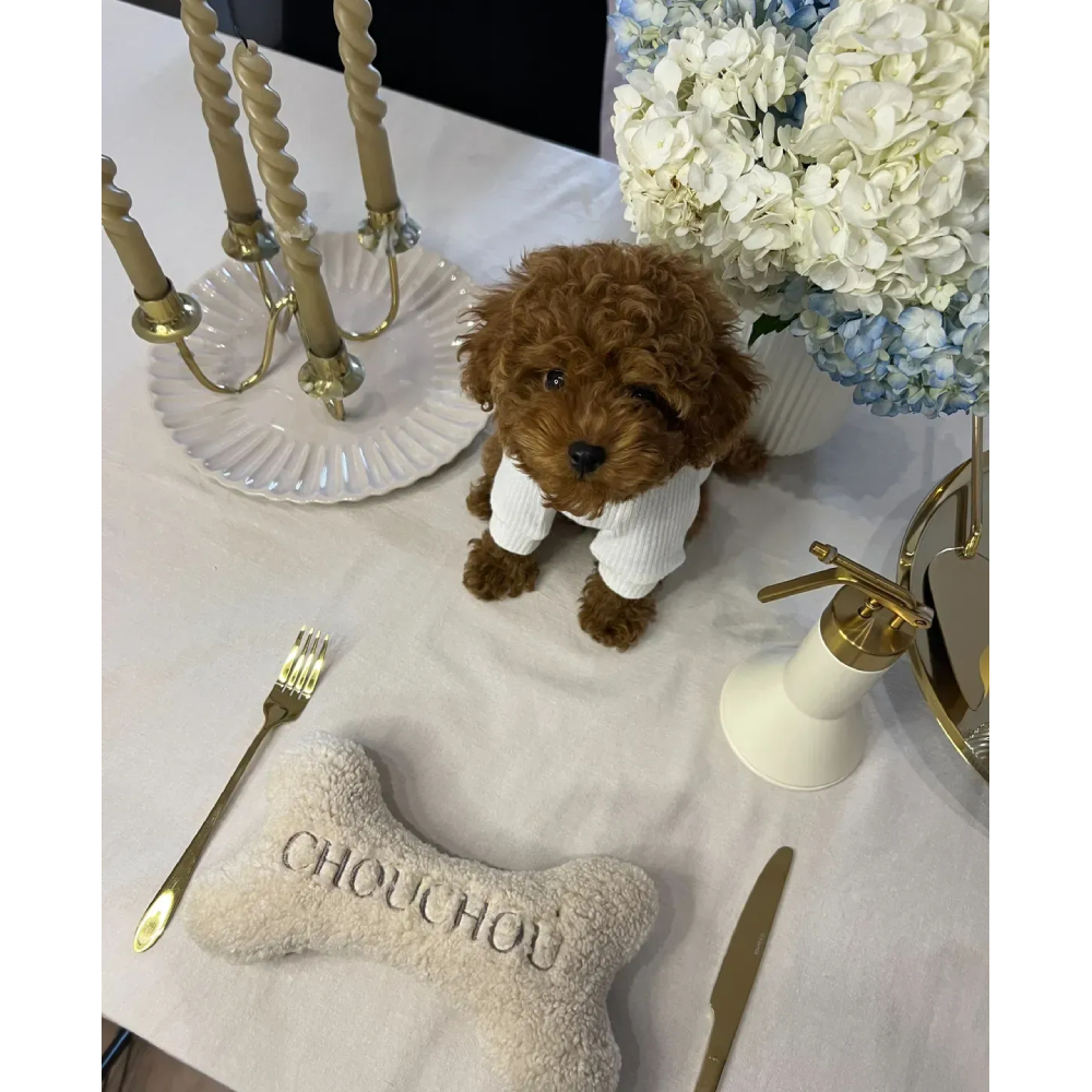 Іграшка для собак CHOUCHOU Кісточка Teddy Collection 21х12х4 см - молочний