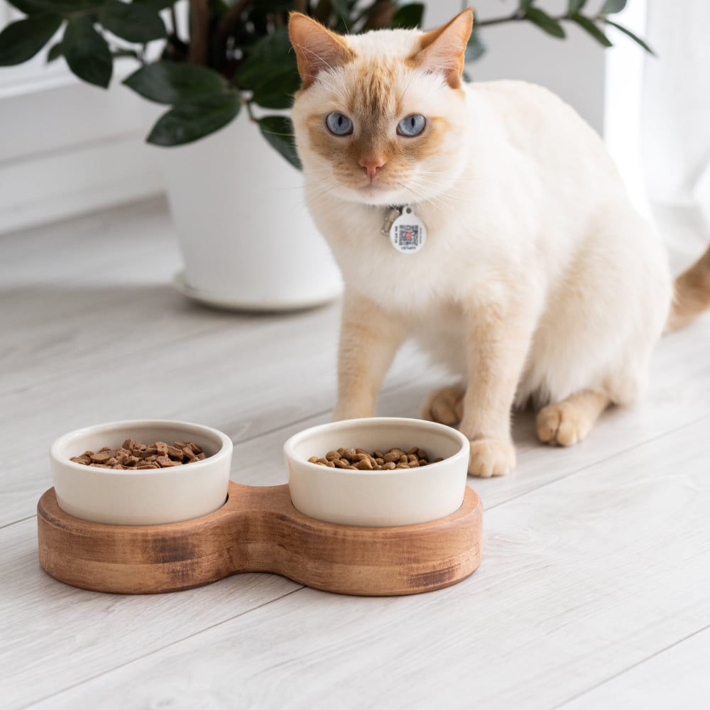 Миска для кошек PetJoy Двойная 2 х 250 мл - коричнево-бежевый Миска для кошек PetJoy Двойная 2 х 250 мл - коричнево-бежевый