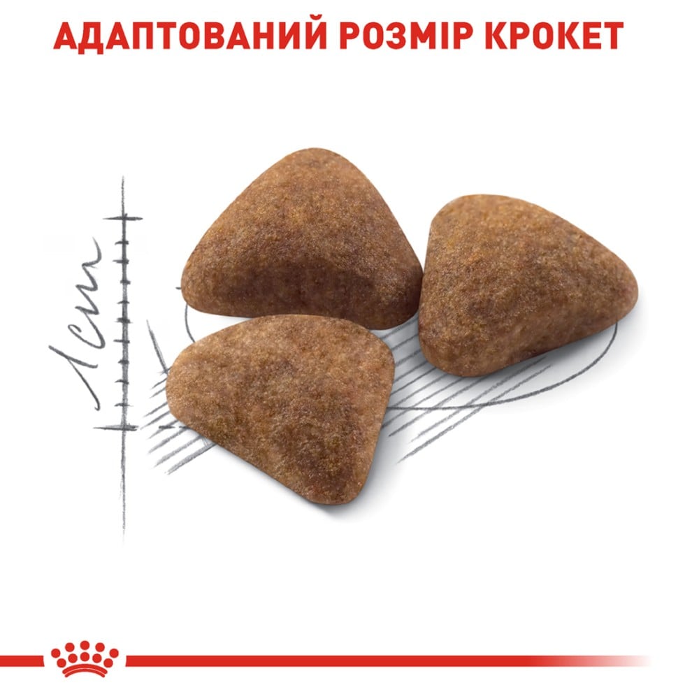 Сухий корм для котів Royal Canin Indoor 27 4 кг + Іграшка-диспенсер для ласощів