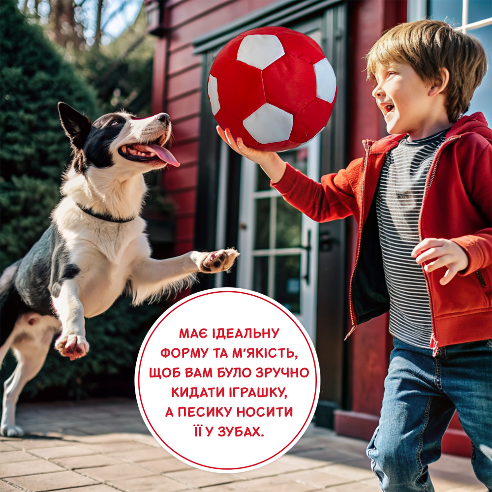 Іграшка для собак Pet Fun М'яч з пискавкою 22см - різнокольоровий