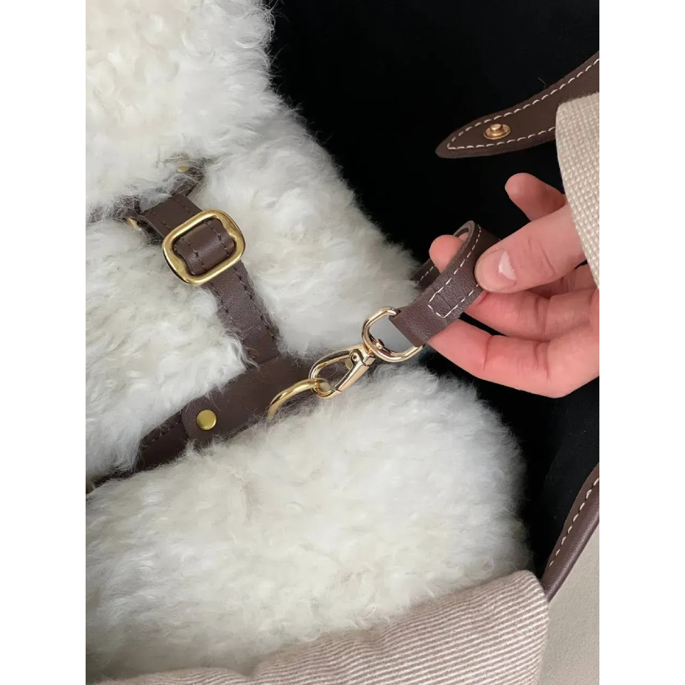 Сумка-переноска для собак CHOUCHOU Classy S - бежевий Сумка-переноска для собак CHOUCHOU Classy S - бежевий