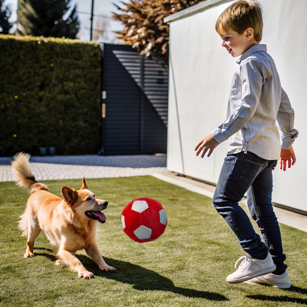 Іграшка для собак Pet Fun М'яч з пискавкою 22см - різнокольоровий