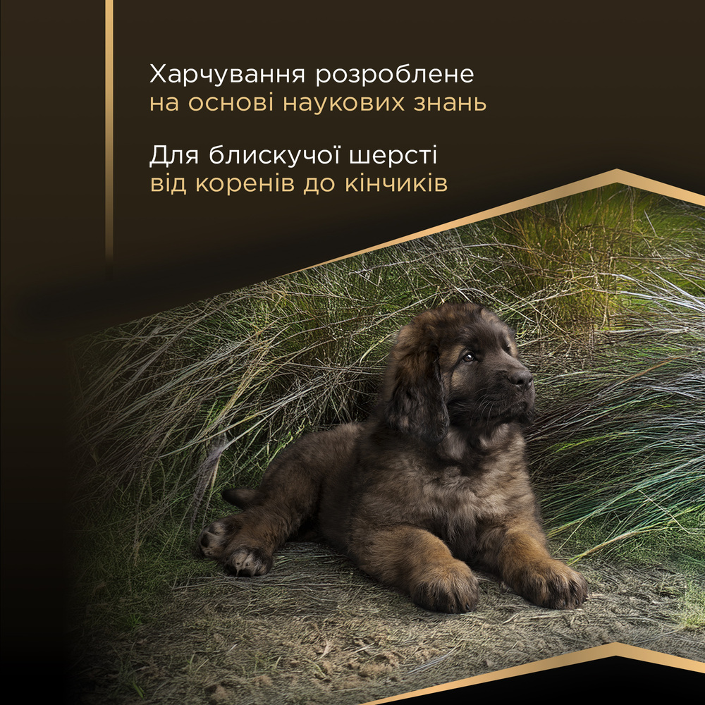 Сухой корм для щенков Pro Plan Puppy Large Robust Sensitive Skin 12 кг - лосось Сухой корм для щенков Pro Plan Puppy Large Robust Sensitive Skin 12 кг - лосось