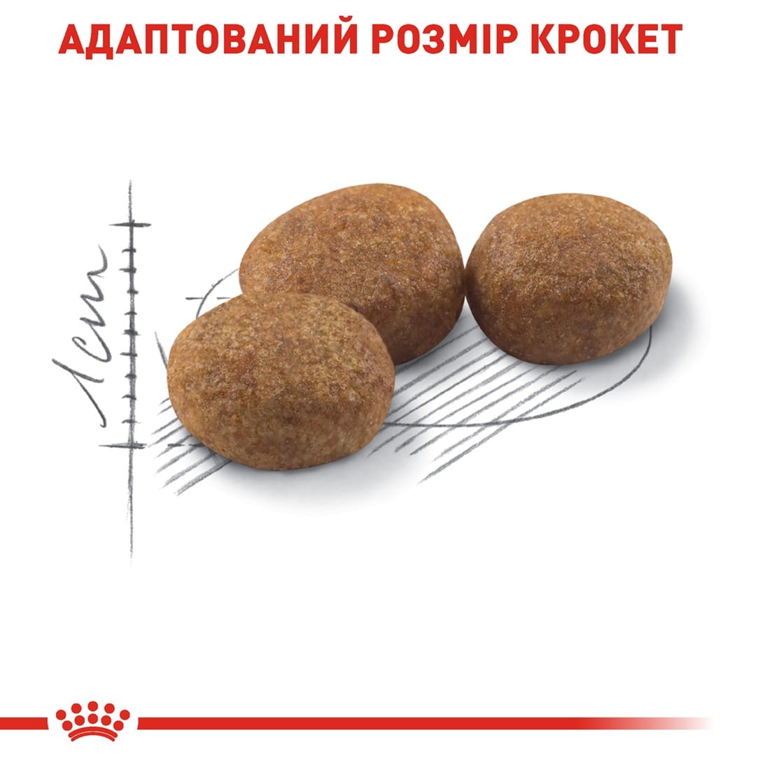 Сухий корм для котів Royal Canin Sterilised 37 4 кг + Іграшка-диспенсер для ласощів Сухий корм для котів Royal Canin Sterilised 37 4 кг + Іграшка-диспенсер для ласощів