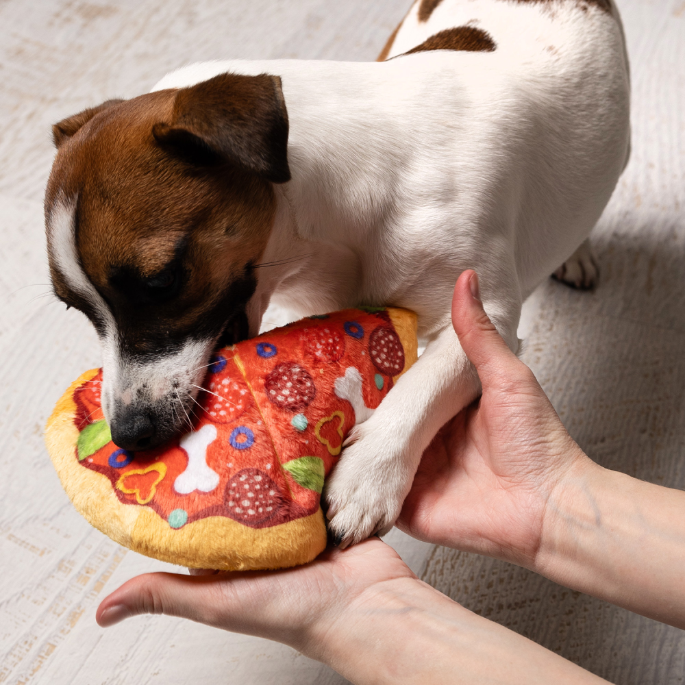 Іграшка для собак Pet Fun Піца з пискавкою 19 см - різнокольоровий
