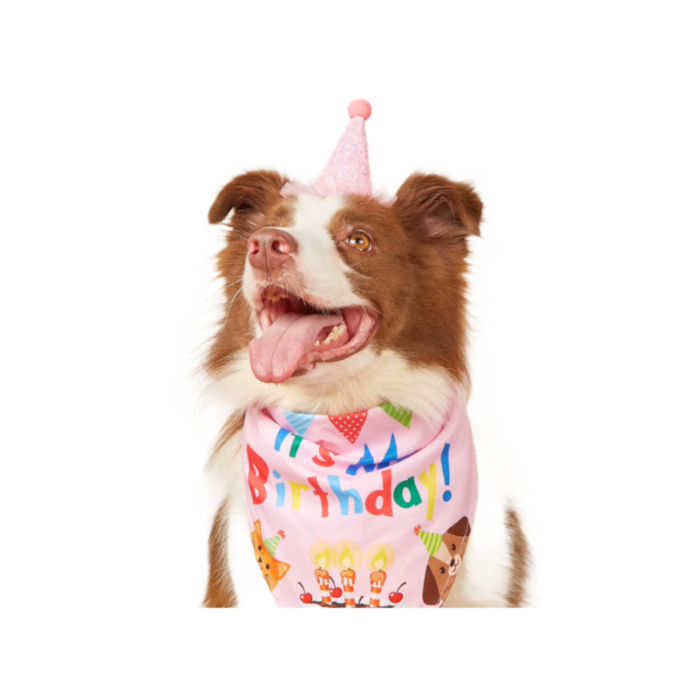 Святковий ковпак для собак Pet Fun 11х9 см - модель в асортименті Святковий ковпак для собак Pet Fun 11х9 см - модель в асортименті