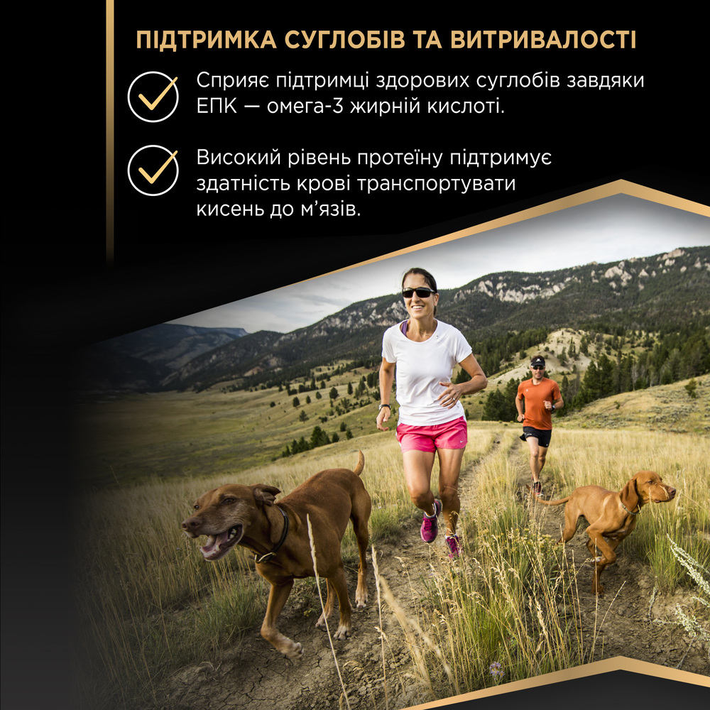 Сухой корм для собак Pro Plan Adult All Sizes Protein & Energy 3 кг - курица Сухой корм для собак Pro Plan Adult All Sizes Protein & Energy 3 кг - курица